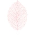 treasure_0010_leaf