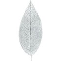 treasure_0011_leaf