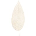 treasure_0013_leaf