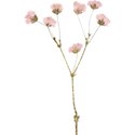 treasure_0052_dried-flowers