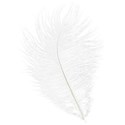 treasure_0030_feather