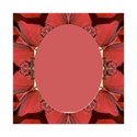 jThompson_redRose_frame2