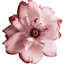 flower3