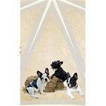 Bullie-001 Bullie-001