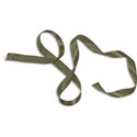 calalily_littlemisspriss_ribbon1 copy