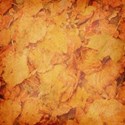 DS_AB_Paper (4)