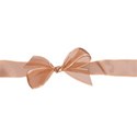 DSnow_AutumnBlessings_12Bow3