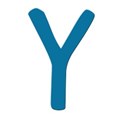 y